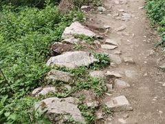 -抱龙峪