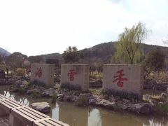 -香雪海