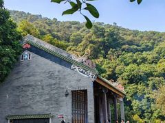 -鼎湖山风景区