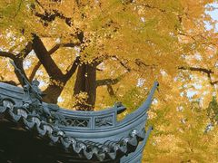 -豫园