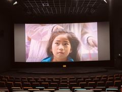 -幸福蓝海国际影城(河西店)