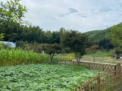 -宁波浙东大竹海景区