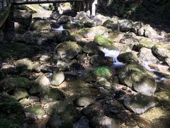 -牛背梁国家森林公园