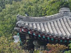 -青岛崂山太清宫