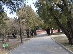-北京市劳动人民文化宫(太庙)
