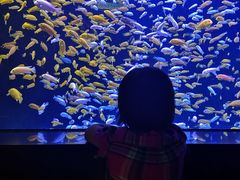 -成都浩海立方海洋公园