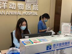-泰洋动物医院·神经专科·磁共振·CT(天河公园总院)