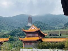 -深圳仙湖植物园