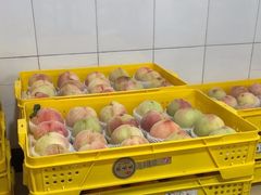 -老袁家蜜桃农场·阳山水蜜桃