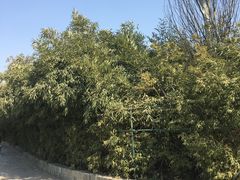 -丰台花园