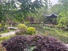 -武汉园博园(武汉自然博物馆)