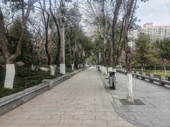 -莲湖公园