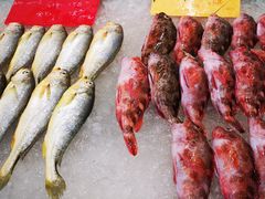 -骏莱海鲜鱼港(五角场店)