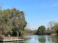 -西溪国家湿地公园