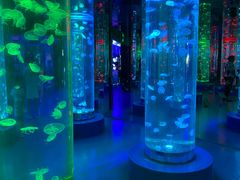 -梦幻海洋王国(吾悦广场张家港店)