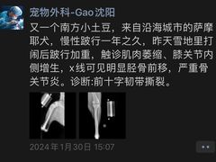 -派美特宠物医院·核磁CT·骨科肿瘤·疑难转诊(沈农禾丰店)