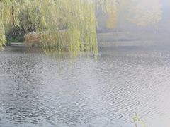 -河州春清真西北特色美食(虎踞路店)