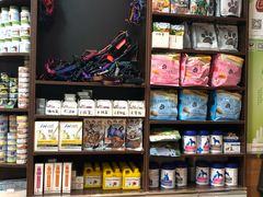 -瑞派·关忠动物医院·异宠专科·犬猫肿瘤·皮肤专科(望京店)