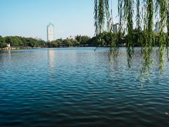 -月湖公园