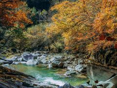 -光雾山旅游景区