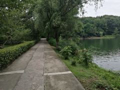-紫霞湖公园
