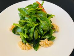 核桃田七-逸道(益丰·外滩源店)
