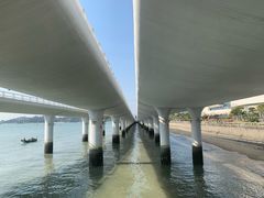 景点-演武大桥观景平台