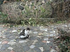 -大蜀山国家森林公园