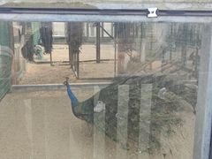 -羊亭河湿地公园