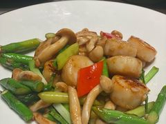 烧汁白玉菇炒带子-尚一汤·粤菜海鲜(环球港店)