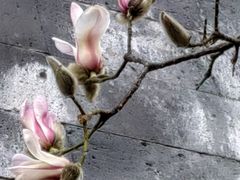 -东华门大街小区