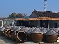 -苏州市吴中区光福窑上花果蜜饯厂