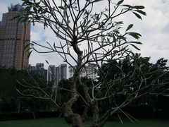 -万绿园