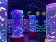 -顺德南宏海立方海洋公园