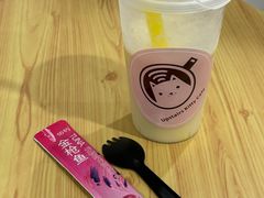 -楼上猫咖(罗湖店)
