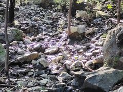 -北京鹫峰国家森林公园