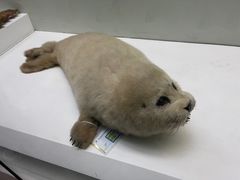 -国家自然博物馆