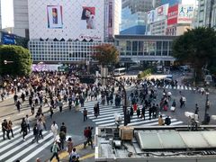 -涩谷全向十字路口