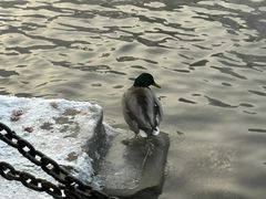 -水磨沟公园