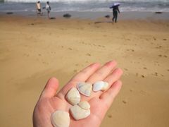 -漳州滨海火山岛自然生态风景区