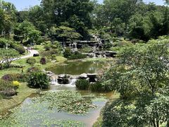 -东莞植物园
