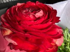 -三旗百汇商品城