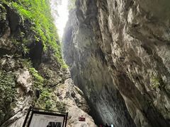 -武陵山森林公园