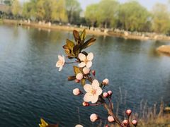 -西安浐灞国家湿地公园