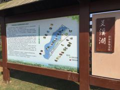 -艾溪湖湿地公园