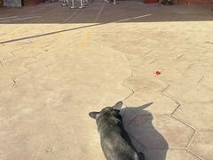 -天山神秘大峡谷