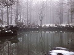 -四明山国家森林公园