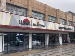 -车艺尚上海龙膜隐形车衣汽车贴膜旗舰店