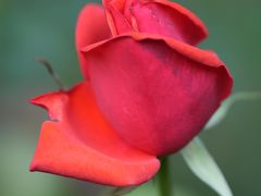 -共青国家森林公园-售票处