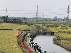 -立起饭庄(石化路店)